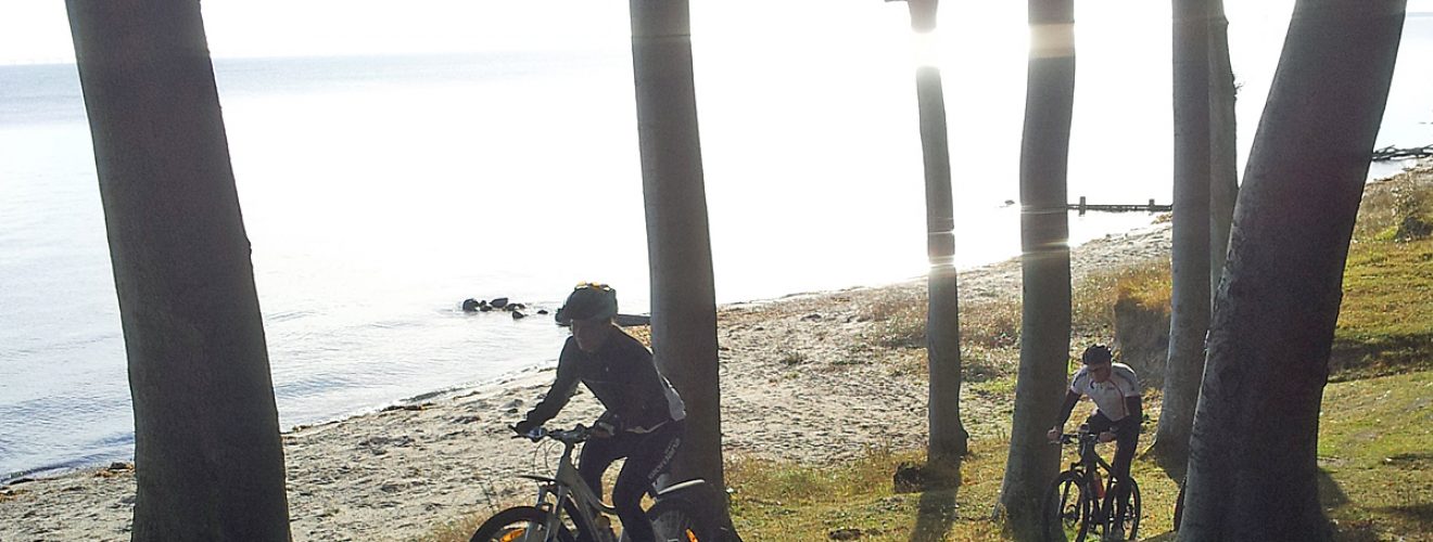 Mountainbike i Teglværksskoven langs Storebælt